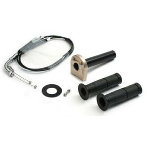 ACTIVE ԎʃXbgLbg TYPE-3 44/bL `^S[h DAYTONA 675(06-09) 1067457 oCN