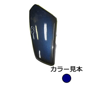 z_ X[p[Ju C50 CUSTOM TChJo[  Ahx`[u[^bN O GiW[vCX
