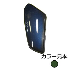 z_ X[p[Ju C50 CUSTOM TChJo[  ^X}jAO[^bN O GiW[vCX