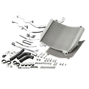 ACTIVE �R�AASSY �R�A�K�[�h�t SLV V-MAX 5050006 �o�C�N ���W�G�[�^�[