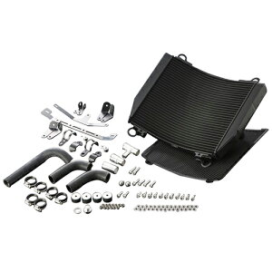 ACTIVE rbOWG[^[Lbg BLK V-MAX 5053011B oCN WG[^[