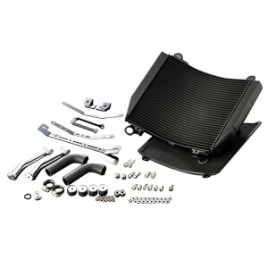 ACTIVE rbOWG[^[Lbg T-2 BLK GPZ750R/GPZ900R 5057022B oCN WG[^[