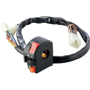 ACTIVE �X�C�b�`�L�b�g TYPE-2 GSX-S1000F 15-17 1385407 �o�C�N
