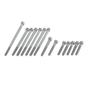 C.F.POSH(CF|bV) NNP[XJo[{g APE50/100 295808 oCN GW