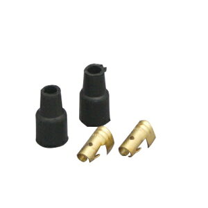 C.F.POSH(CF|bV) IGRCA_v^[ n[[p 880025 oCN