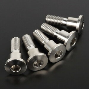 ZETA(W[^) Z-`^ BfBXN{gZbg ThinHead 10-M8×28 5pcs D6929 oCN fBXN[^[{g