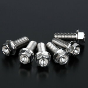 ZETA(W[^) Z-`^ BfBXN{gZbg S-FlangeBolt 8-M8×20 6pcs D6946 oCN fBXN[^[{g