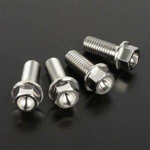 ZETA(W[^) Z-`^ BfBXN{gZbg FlangeBolt 8-M8×20 4pcs D6917 oCN fBXN[^[{g