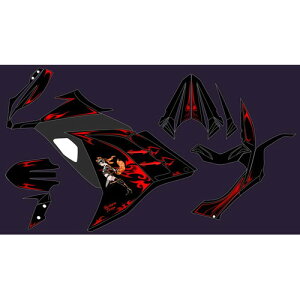 PLOT(�v���g) �f�J�[���L�b�g �v���g�^�� ���b�h Ninja250 PDK748P-R �o�C�N