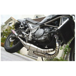 K2tec(PCc[ebN) ʃXeXNX`o[ TYPE-2 R1-Z r1-z-bsus oCN `o[