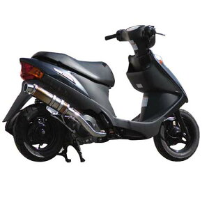 Realize Racing(ACY) uN `^ AhXV125(O2ZT[Ή)CF4EA 09- 313-011-01 oCN tGL][Xg}t[
