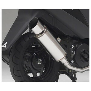 Realize Racing(ACY) NX XeX AhXV125 09-(O2ZT[Ή)CF4EA 313-007 oCN tGL][Xg}t[
