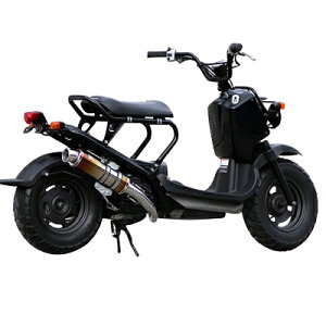 Realize Racing(ACY) COWXg `^ Y[}[ AF58 303-010-01 oCN tGL][Xg}t[