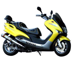 Realize Racing(ACY) COWXg}t[ `^ }WFXeB125(5CA) 317-010-01 oCN tGL][Xg}t[