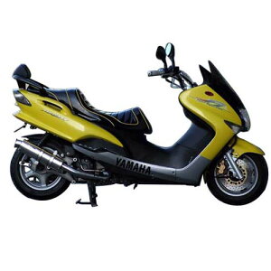 Realize Racing(ACY) 22[VO}t[ XeX }WFXeB125(5CA) 317-009-00 oCN tGL][Xg}t[