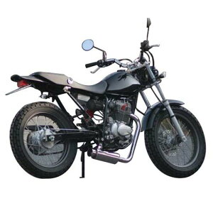 Realize Racing(ACY) 100ӖCe}t[ Type2 FTR223 802-001-01 oCN tGL][Xg}t[