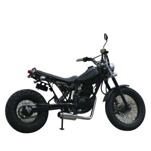 Realize Racing(ACY) 100ӖCe}t[ Type2 TW200/225 801-001-01 oCN tGL][Xg}t[