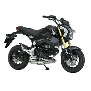 Realize Racing(ACY) Oi XeX}t[ GROM/MSX125 405-103-00 oCN tGL][Xg}t[