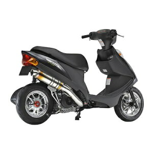 Realize Racing(ACY) COWXg }t[ `^ AhXV125 -08 308-010-01 oCN tGL][Xg}t[