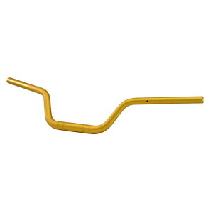 EFFEX(GtFbNX) C[W[tBbgo[vX S[h Z900RS PBTF762G oCN nho[Epbh