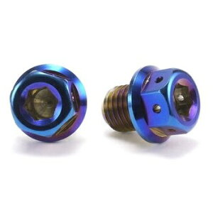 JSM �w�L�T�S���w�b�h PVD�`�^���R�[�g �{���g M10×10mm P1.25mm TA-JSM-BT184TI �o�C�N