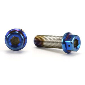 JSM �w�L�T�S���w�b�h PVD�`�^���R�[�g �{���g M10×30mm P1.25mm TA-JSM-BT047TI �o�C�N