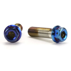 JSM �w�L�T�S���w�b�h PVD�`�^���R�[�g �{���g M10×35mm P1.25mm TA-JSM-BT048TI �o�C�N