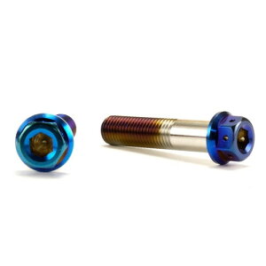 JSM �w�L�T�S���w�b�h PVD�`�^���R�[�g �{���g M10×45mm P1.25mm TA-JSM-BT050TI �o�C�N