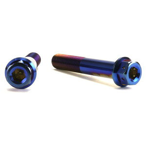 JSM �w�L�T�S���w�b�h PVD�`�^���R�[�g �{���g M10×60mm P1.25mm TA-JSM-BT052TI �o�C�N