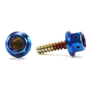 JSM �w�L�T�S��M6�w�b�h PVD�`�^���R�[�g�^�b�s���O�X�N�����[ M4×15mm TA-JSM-BT002TI �o�C�N