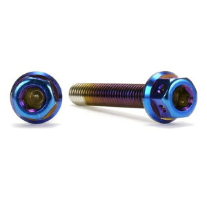 JSM �w�L�T�S���w�b�h PVD�`�^���R�[�g �{���g M4×25mm P0.7mm TA-JSM-BT209TI �o�C�N