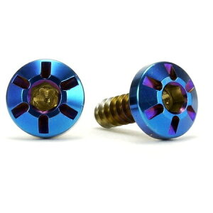 JSM �w�L�T�S���w�b�h PVD�`�^���R�[�g�^�b�s���O�X�N�����[ M5×15.8mm TA-JSM-BT205TI �o�C�N �l�W�E�r�X