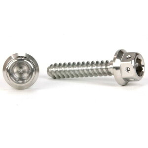 JSM �w�L�T�S���w�b�h �^�b�s���O�X�N�����[ M5×25mm TA-JSM-BT005SI �o�C�N �l�W�E�r�X