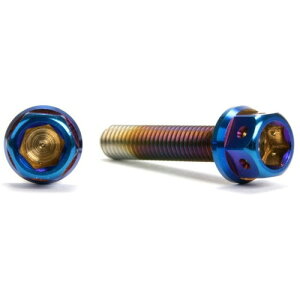 JSM �w�L�T�S���w�b�h PVD�`�^���R�[�g �{���g M5×25mm P0.8mm TA-JSM-BT012TI �o�C�N