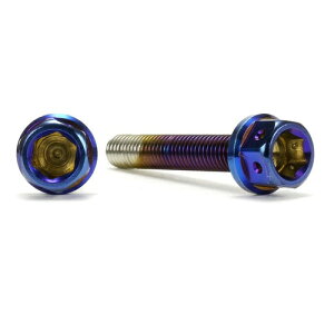 JSM �w�L�T�S���w�b�h PVD�`�^���R�[�g �{���g M5×30mm P0.8mm TA-JSM-BT217TI �o�C�N