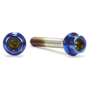 JSM �w�L�T�S���w�b�h PVD�`�^���R�[�g �{���g M5×35mm P0.8mm TA-JSM-BT014TI �o�C�N