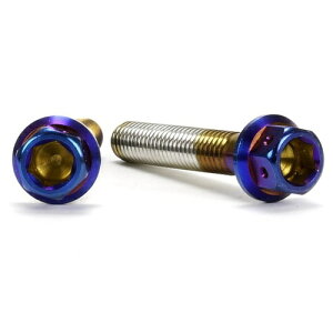 JSM �w�L�T�S���w�b�h PVD�`�^���R�[�g �{���g M6×35mm P1.0mm TA-JSM-BT022TI �o�C�N