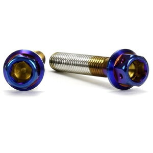 JSM �w�L�T�S���w�b�h PVD�`�^���R�[�g �{���g M6×40mm P1.0mm TA-JSM-BT023TI �o�C�N