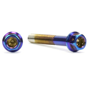 JSM �w�L�T�S���w�b�h PVD�`�^���R�[�g �{���g M6×45mm P1.0mm TA-JSM-BT024TI �o�C�N