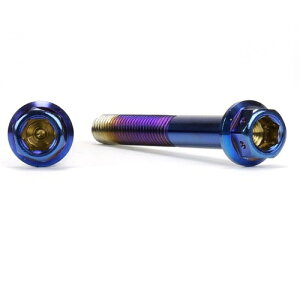 JSM �w�L�T�S���w�b�h PVD�`�^���R�[�g �{���g M6×50mm P1.0mm TA-JSM-BT025TI �o�C�N