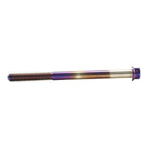 JSM �w�L�T�S���w�b�h PVD�`�^���R�[�g �{���g M8×110mm P1.25mm TA-JSM-BT145TI �o�C�N