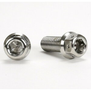 JSM �w�L�T�S���w�b�h �{���g M8×20mm P1.25mm TA-JSM-BT035SI �o�C�N