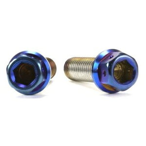 JSM �w�L�T�S���w�b�h PVD�`�^���R�[�g �{���g M8×25mm P1.25mm TA-JSM-BT036TI �o�C�N