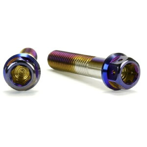 JSM �w�L�T�S���w�b�h PVD�`�^���R�[�g �{���g M8×40mm P1.25mm TA-JSM-BT039TI �o�C�N