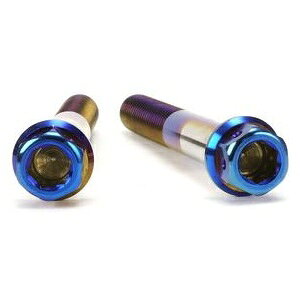 JSM �w�L�T�S���w�b�h PVD�`�^���R�[�g �{���g M8×60mm P1.25mm TA-JSM-BT043TI �o�C�N