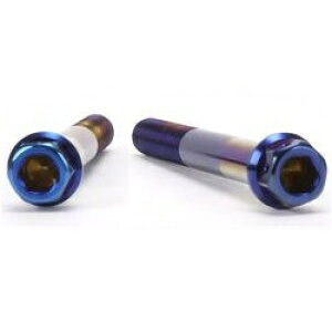 JSM �w�L�T�S���w�b�h PVD�`�^���R�[�g �{���g M8×70mm P1.25mm TA-JSM-BT044TI �o�C�N