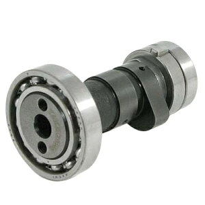 SP(SP^PK) JVtg RXe[W+D L[ 01-08-0020D oCN