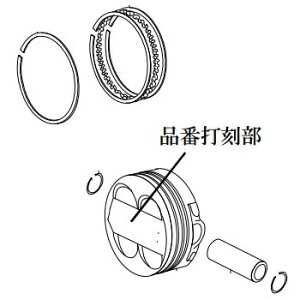 SP(SP^PK) sXgLbg +R 100cc 57X39 01-02-0137 oCN