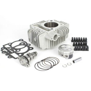 SP(SP^PK) SXe[W N-20 {AAbvLbg 138cc 01-05-5441 oCN GW{́EZbg