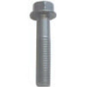 SP����(�X�y�V�����p�[�c����) �t�����W�{���g 6X32(5��) 00-00-0884 �o�C�N